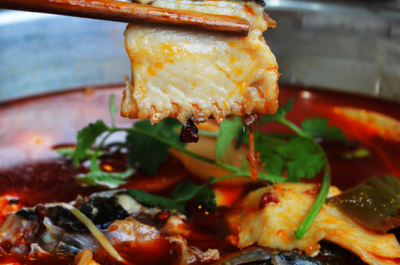 魚火鍋技術(shù)培訓，鍋底不含色素久吃不上