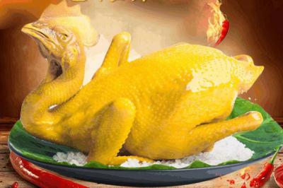 四川鹽焗雞技術(shù)培訓(xùn)學(xué)校那里正宗？鹽焗雞的選材處理