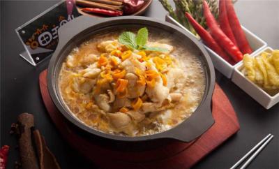 啵啵魚訓(xùn)練哪個好?環(huán)保綠色，健康衛(wèi)生