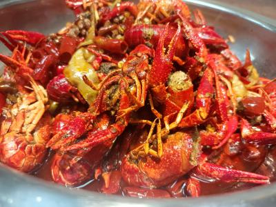 學(xué)做小龍蝦技術(shù)做法哪里比較好？