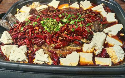  成都學烤魚哪里最正宗？