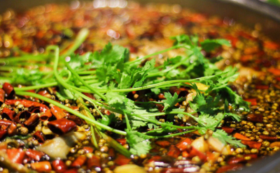 成都美蛙魚培訓那家好？