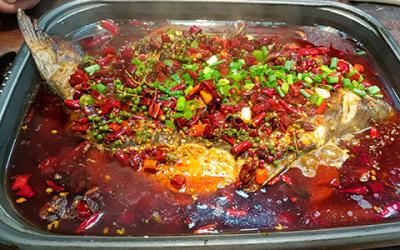 想學(xué)烤魚(yú)技術(shù)哪里專業(yè)？