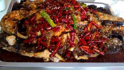 成都烤魚技術(shù)培訓(xùn)學(xué)校排名,學(xué)習(xí)烤魚技術(shù)培訓(xùn)學(xué)費(fèi)？