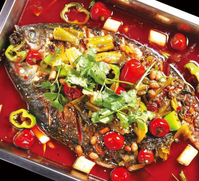 烤魚技術培訓要去哪里學？