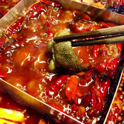 成都火鍋培訓(xùn)多少錢？ 成都火鍋培訓(xùn)多少錢？