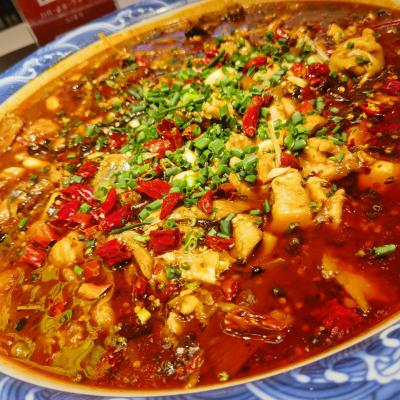 重慶來鳳魚培訓(xùn)學(xué)校哪家好？深度解析蜀味緣為何備受青睞